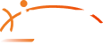 INE Security Logo